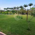 Casa à venda com 6 quartos, sendo 4 suítes,  em Caravelas, Armação dos Búzios, RJ
