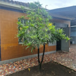 Casa à venda com 8 quartos em Campo Grande, Rio de Janeiro, RJ