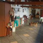 Sobrado à venda com 5 quartos em Mandaqui, São Paulo, SP