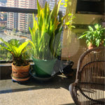 Apartamento à venda com 3 quartos, sendo 2 suítes, em Jardim Vila Mariana, São Paulo, SP