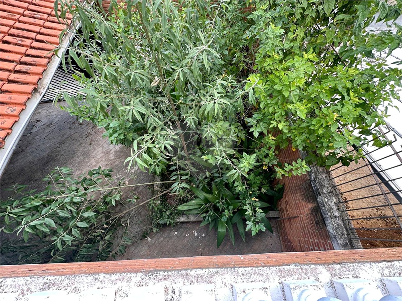 Sobrado à venda com 3 suítes em Santa Teresinha, São Paulo, SP