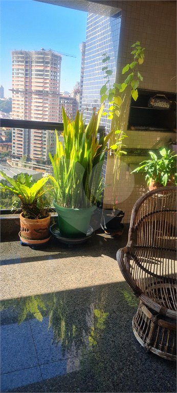 Apartamento à venda com 3 quartos, sendo 2 suítes, em Jardim Vila Mariana, São Paulo, SP
