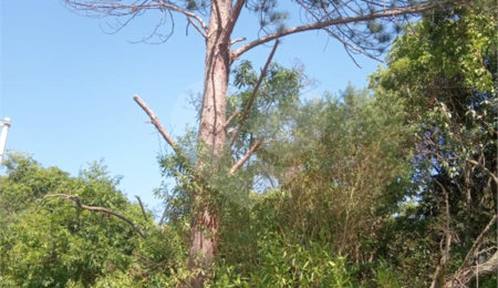 Terreno à venda em Saboó, São Roque, SP