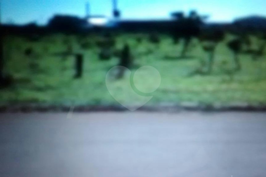 Terreno à venda em Núcleo Industrial, Campo Grande, MS