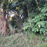 Terreno à venda no condomínio Residencial Bosque da Serra, Mairiporã - SP