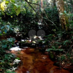 Chácara à venda no Centro, Monte Sião, MG