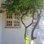 Casa à venda ou para alugar com 3 quartos, sendo 1 suíte, em Jardim Sontag, Salto, SP