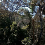 Terreno à venda em Serra da Cantareira, Mairiporã, SP