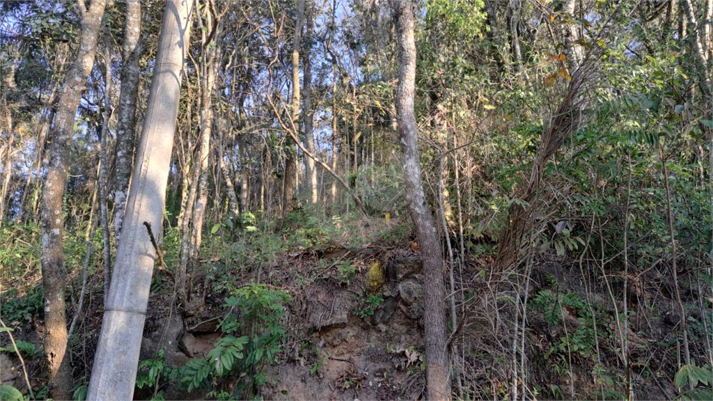 Terreno à venda em Serra da Cantareira, Mairiporã, SP
