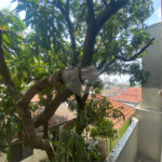 Apartamento à venda com 2 quartos em Vila Gustavo, São Paulo, SP