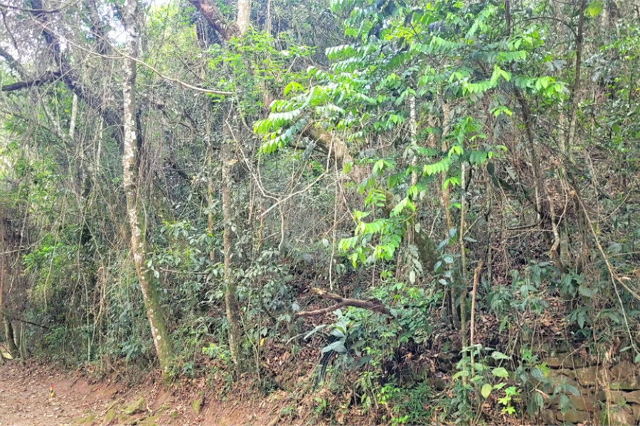 Terreno à venda em Serra da Cantareira, Mairiporã, SP