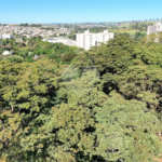 Terreno à venda no condomínio Acacia, Ribeirão Preto - SP