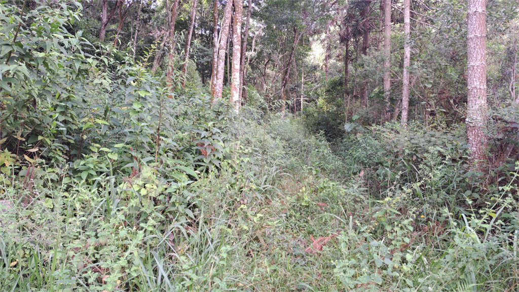Terreno à venda em Terra Preta (terra Preta), Mairiporã, SP