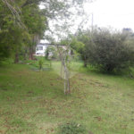 Terreno para alugar em Jardim Rene, São Roque, SP