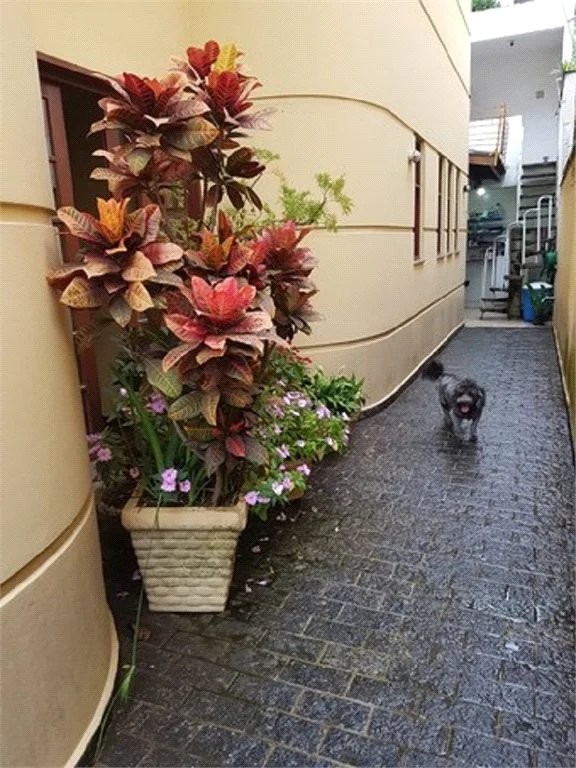Sobrado à venda com 3 suítes em Lar São Paulo, São Paulo, SP