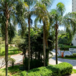 Apartamento à venda com 3 quartos, sendo 1 suíte, em Jardim Morumbi, São Paulo, SP