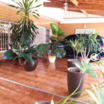 Casa Térrea à venda com 3 quartos, sendo 1 suíte, em Jardim Marisa, São Paulo, SP