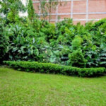 Casa à venda ou para alugar com 5 suítes em Jardim São Bento, São Paulo, SP
