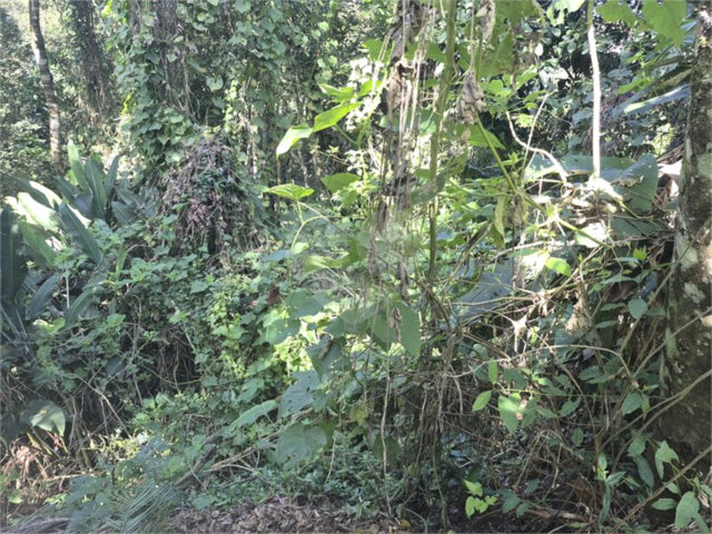 Condomínio à venda em Serra da Cantareira, Mairiporã, SP
