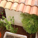 Sobrado à venda com 4 quartos, sendo 1 suíte,  em Vila Rosália, Guarulhos, SP