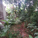 Terreno à venda em Vila Carmosina, São Paulo, SP