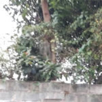 Terreno à venda no condomínio Jd Leonor, São Paulo - SP