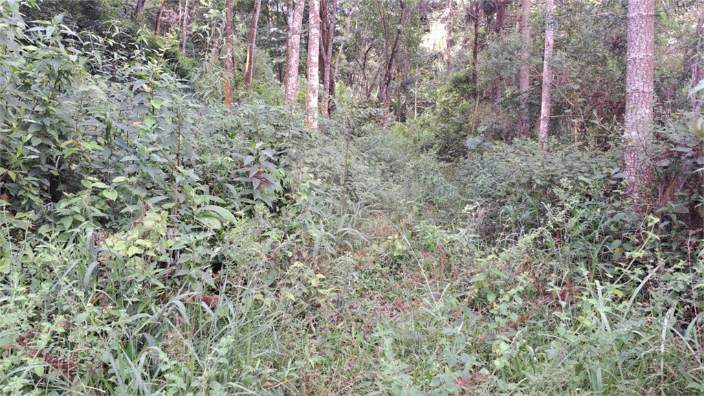 Terreno à venda em Serra da Cantareira, Mairiporã, SP