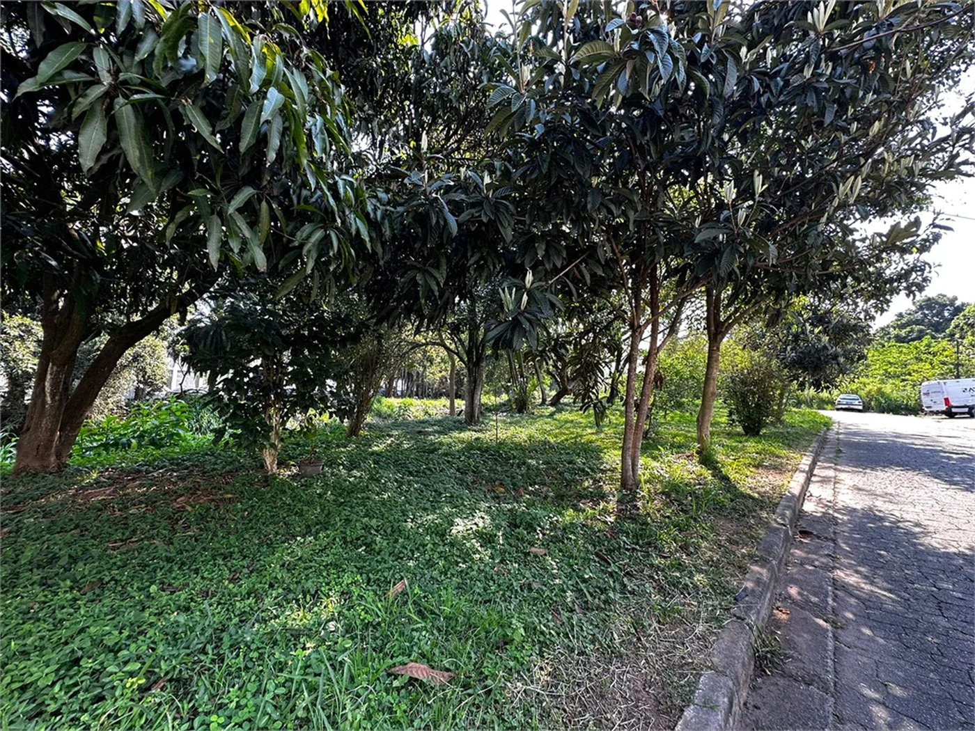 Casa à venda com 3 quartos, sendo 1 suíte,  em Jardim Caboré, São Paulo, SP