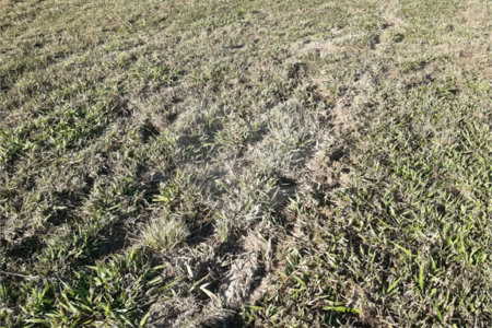 Terreno à venda no condomínio Terras de Santa Izabel, Salto - SP