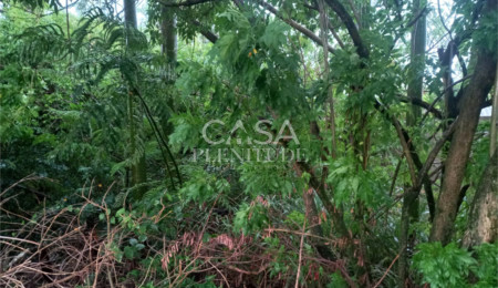 Terreno à venda em Recanto do Jataí, Sorocaba, SP