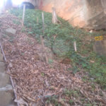 Terreno à venda em Freguesia do Ó, São Paulo, SP
