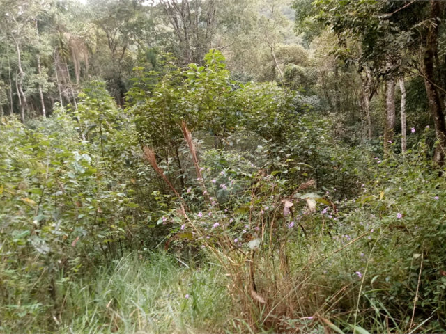 Terreno à venda no condomínio Sausalito, Mairiporã - SP