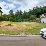 Terreno à venda em Santa Cândida, Vinhedo, SP