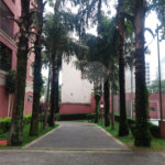 Apartamento à venda com 3 quartos em Mandaqui, São Paulo, SP