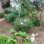 Sobrado à venda com 3 suítes em Jardim Franca, São Paulo, SP