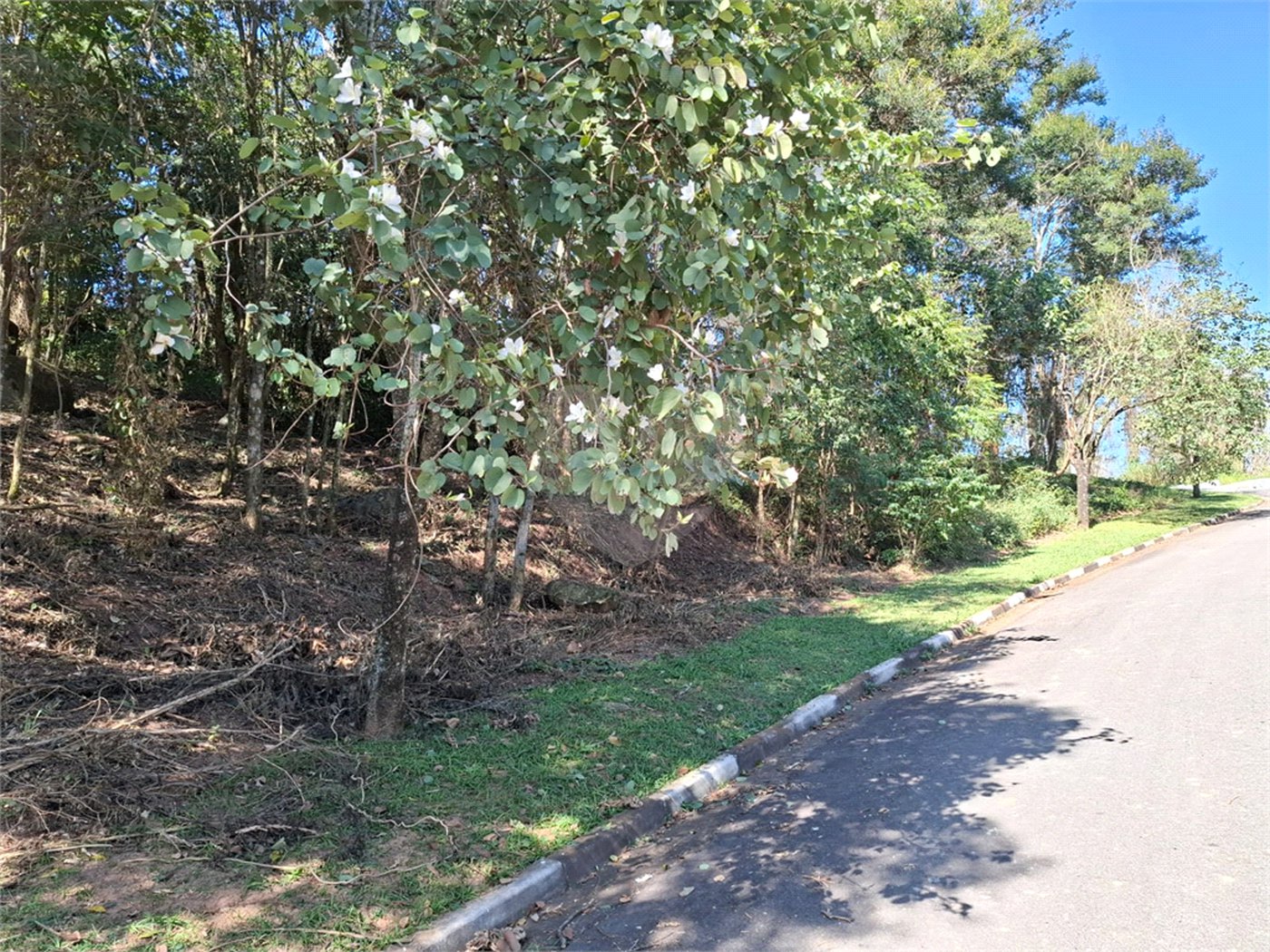 Terreno à venda em Horto, São Paulo, SP