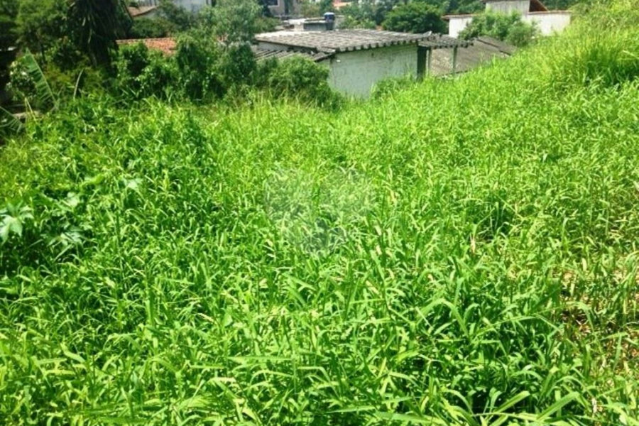 Terreno à venda em Horto, São Paulo, SP