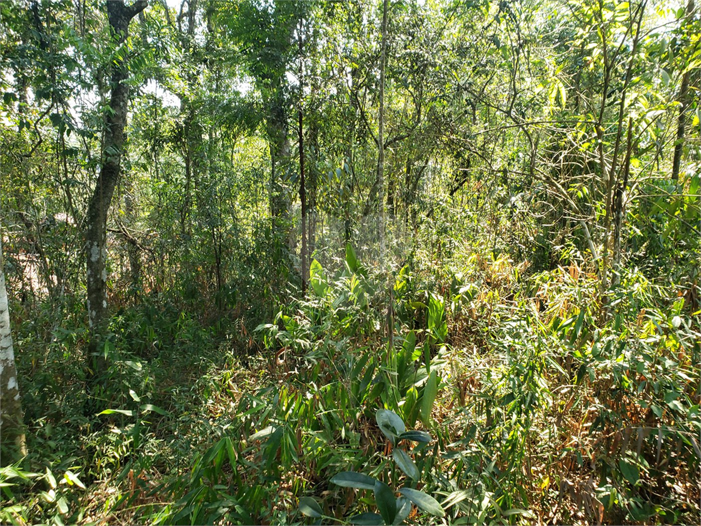Terreno à venda no condomínio Parque Imperial da Cantareira, Mairiporã - SP
