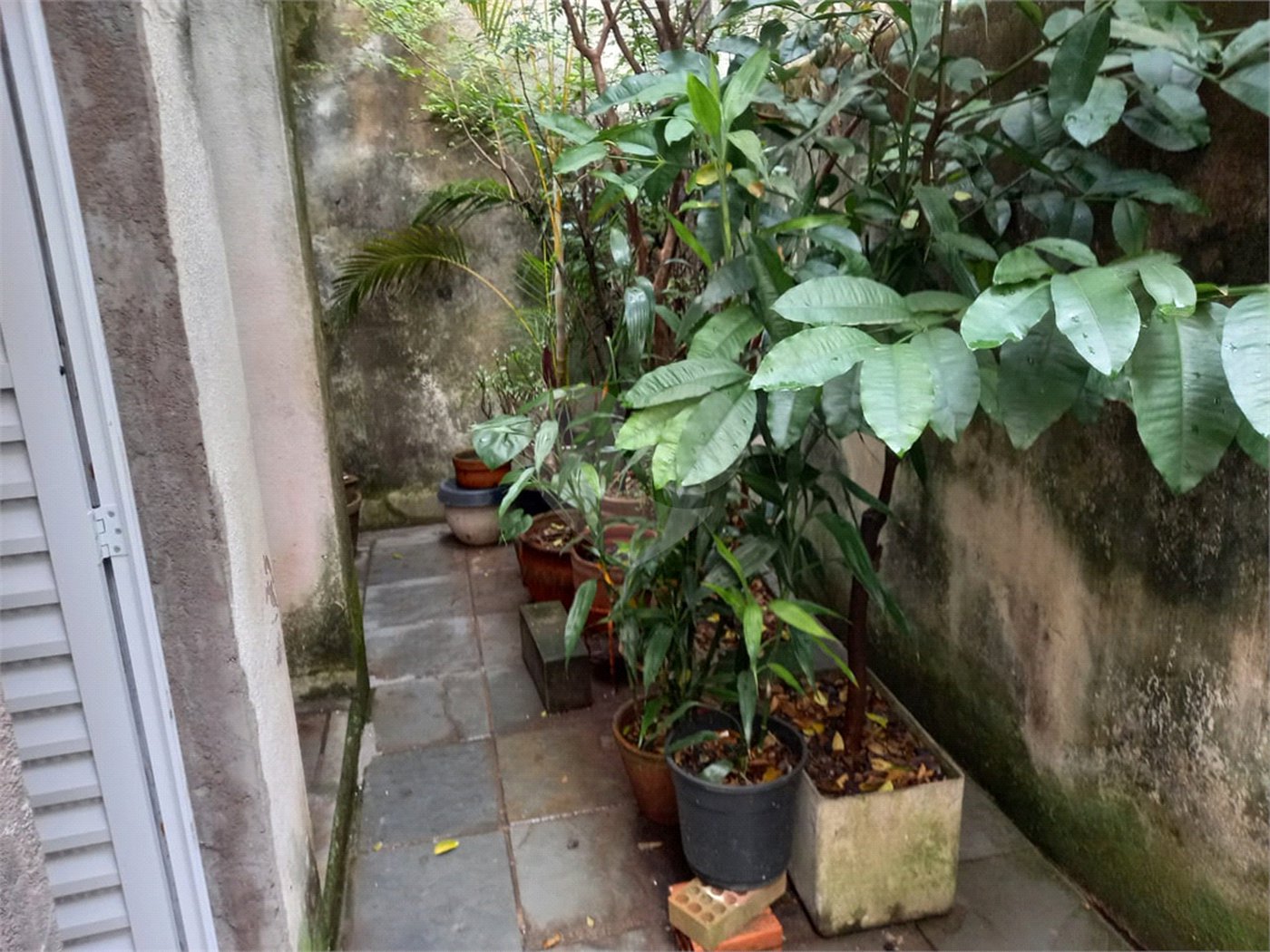 Sobrado de 3 quartos à venda na Aclimação