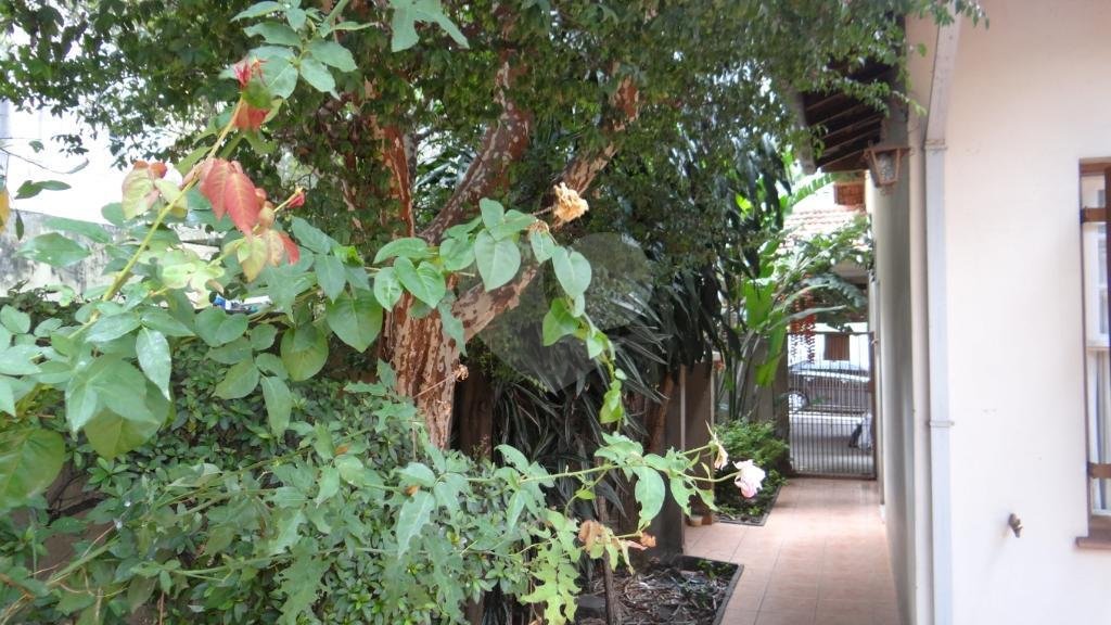 Casa Térrea à venda com 3 quartos em Pinheiros, São Paulo, SP