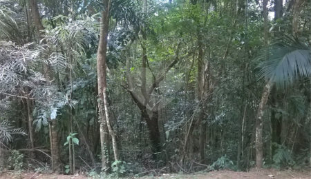 Terreno à venda em Serra da Cantareira, Mairiporã, SP