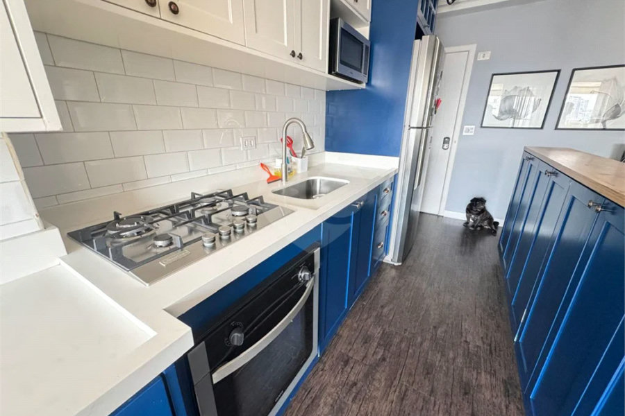 Apartamento à venda com 2 quartos, sendo 1 suíte, em Parada Inglesa, São Paulo, SP