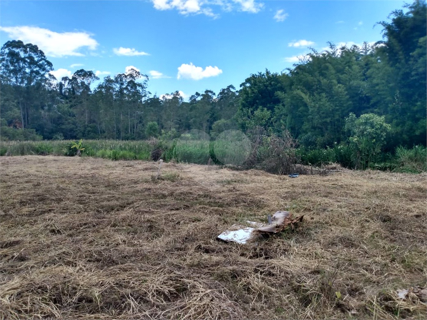 Terreno à venda em Cézar de Souza, Mogi das Cruzes, SP