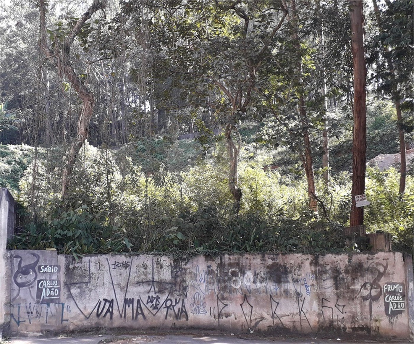 Terreno à venda em Vila Andrade, São Paulo, SP