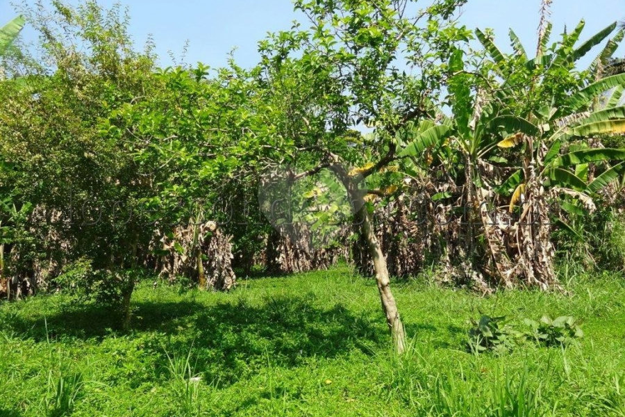 Terreno à venda em Horto Florestal, São Paulo, SP
