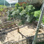 Casa à venda com 7 quartos, sendo 4 suítes, no condomínio Residencial Ypeville, Mairiporã - SP