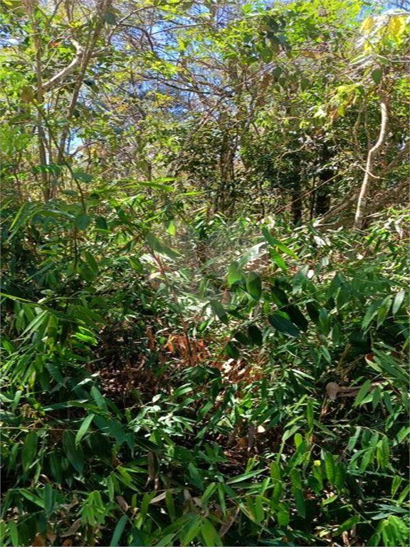 Terreno à venda em Remédios, Mairiporã, SP