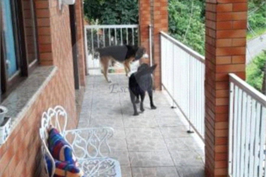 Casa à venda com 3 quartos, sendo 1 suíte, no condomínio Parque Suiça, Caieiras - SP