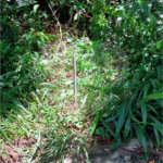 Terreno à venda no condomínio Sausalito, Mairiporã - SP