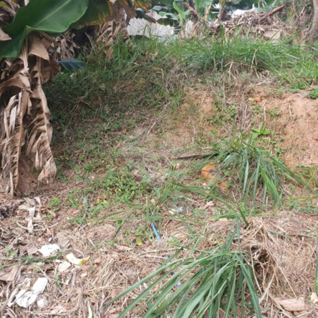 Terreno à venda em Vila Indiana, São Paulo, SP